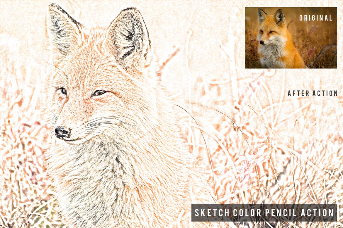 彩铅素描照片特效一键生成16图库精选PS动作 Sketch Color Pencil Action插图(1)