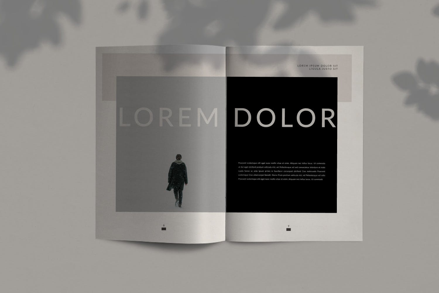 极简主义设计风格企业业务手册素材库精选Lookbook设计模板 Lookbook插图(3)