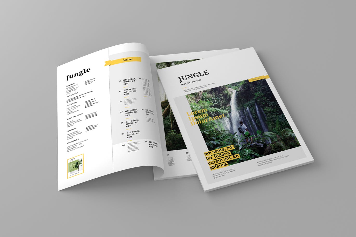 旅游行业普贤居精选杂志版式设计模板 Jungle – Magazine Template插图