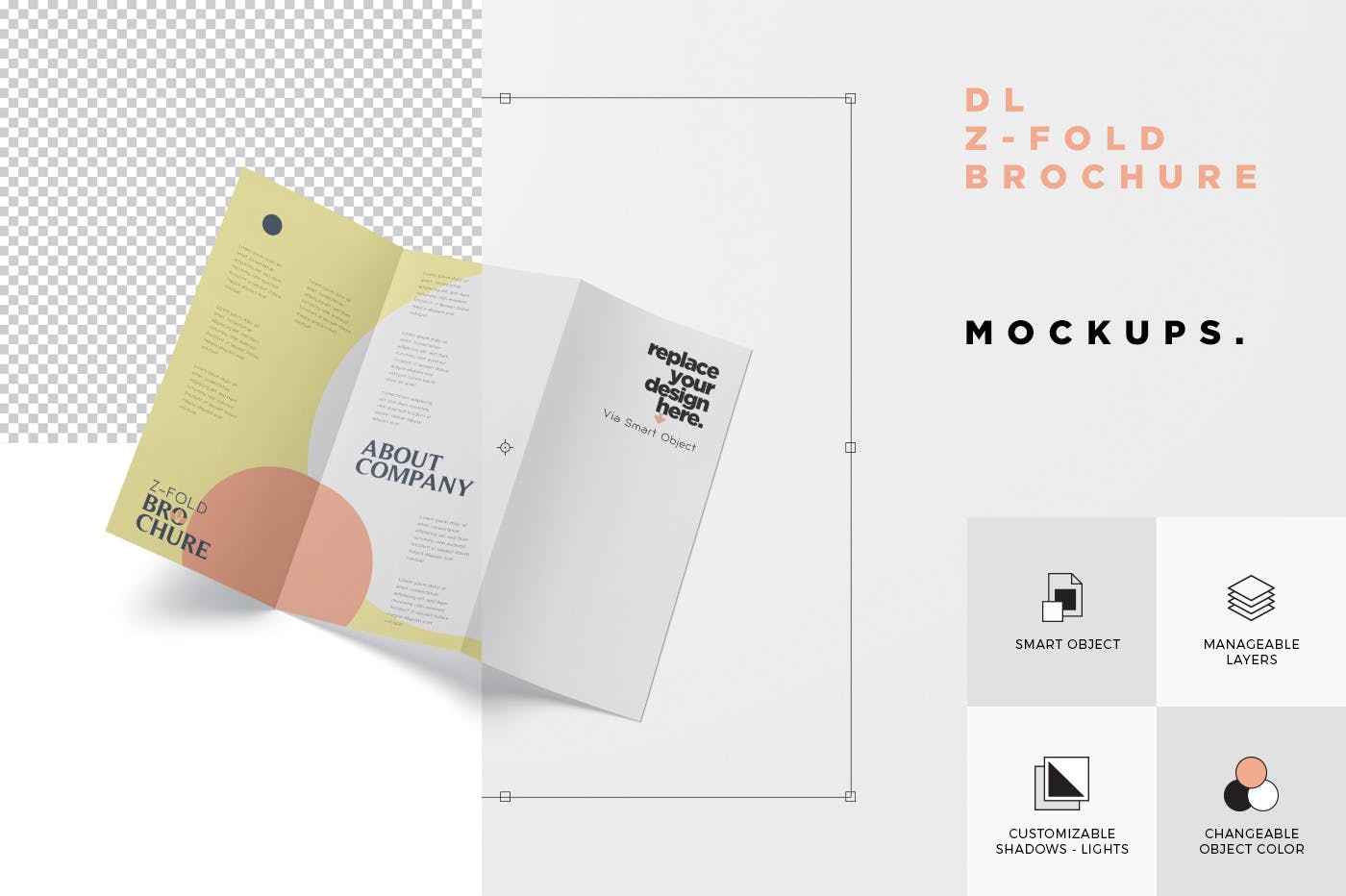 三折页设计风格企业传单/宣传单设计图样机普贤居精选 DL Z-Fold Brochure Mockup – 99 x 210 mm Size插图(7)