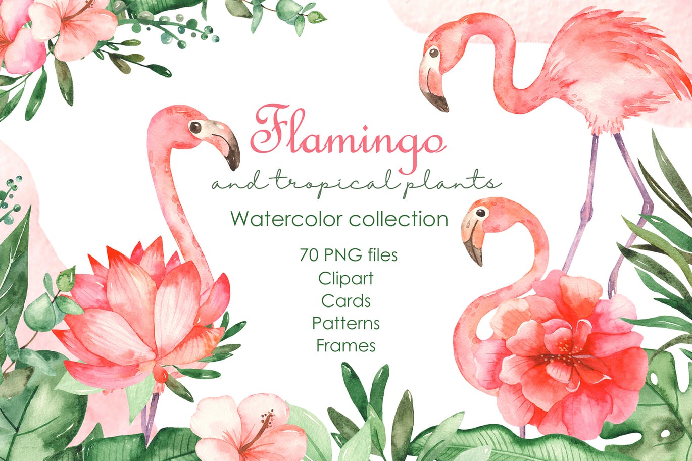 火烈鸟＆热带植物水彩插画素材 Watercolor flamingos and tropical plants插图