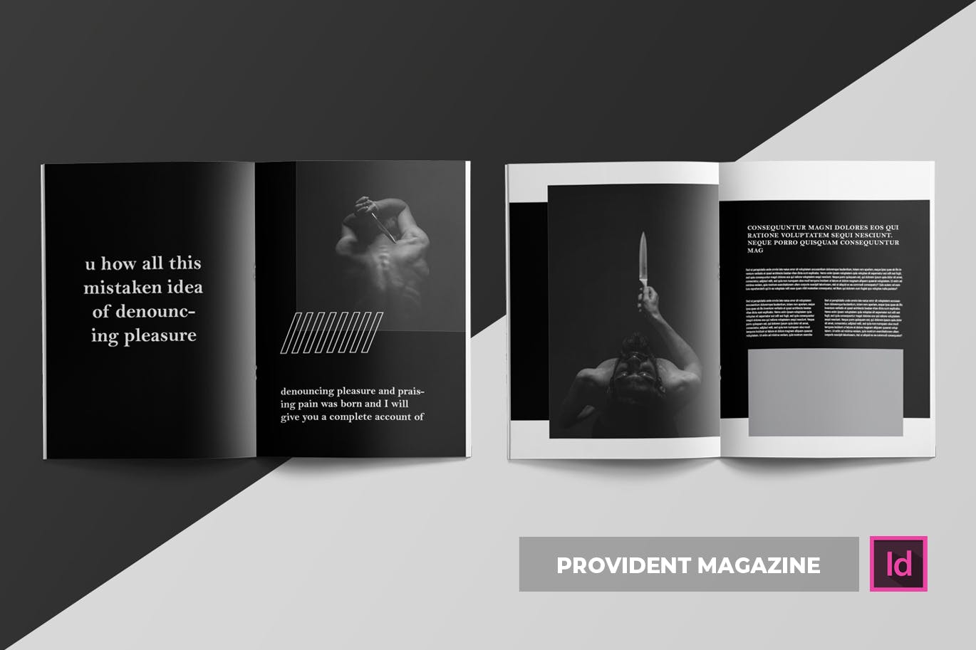 高端摄影主题A4非凡图库精选杂志版式设计INDD模板 Provident | Magazine Template插图(1)