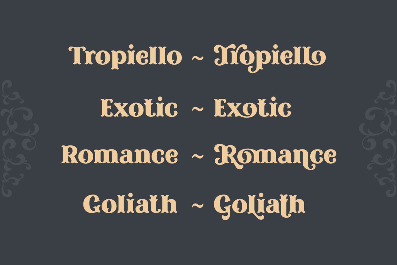 复古风格精美英文衬线装饰字体亿图网易图库精选下载 Tropiello Font插图(4)