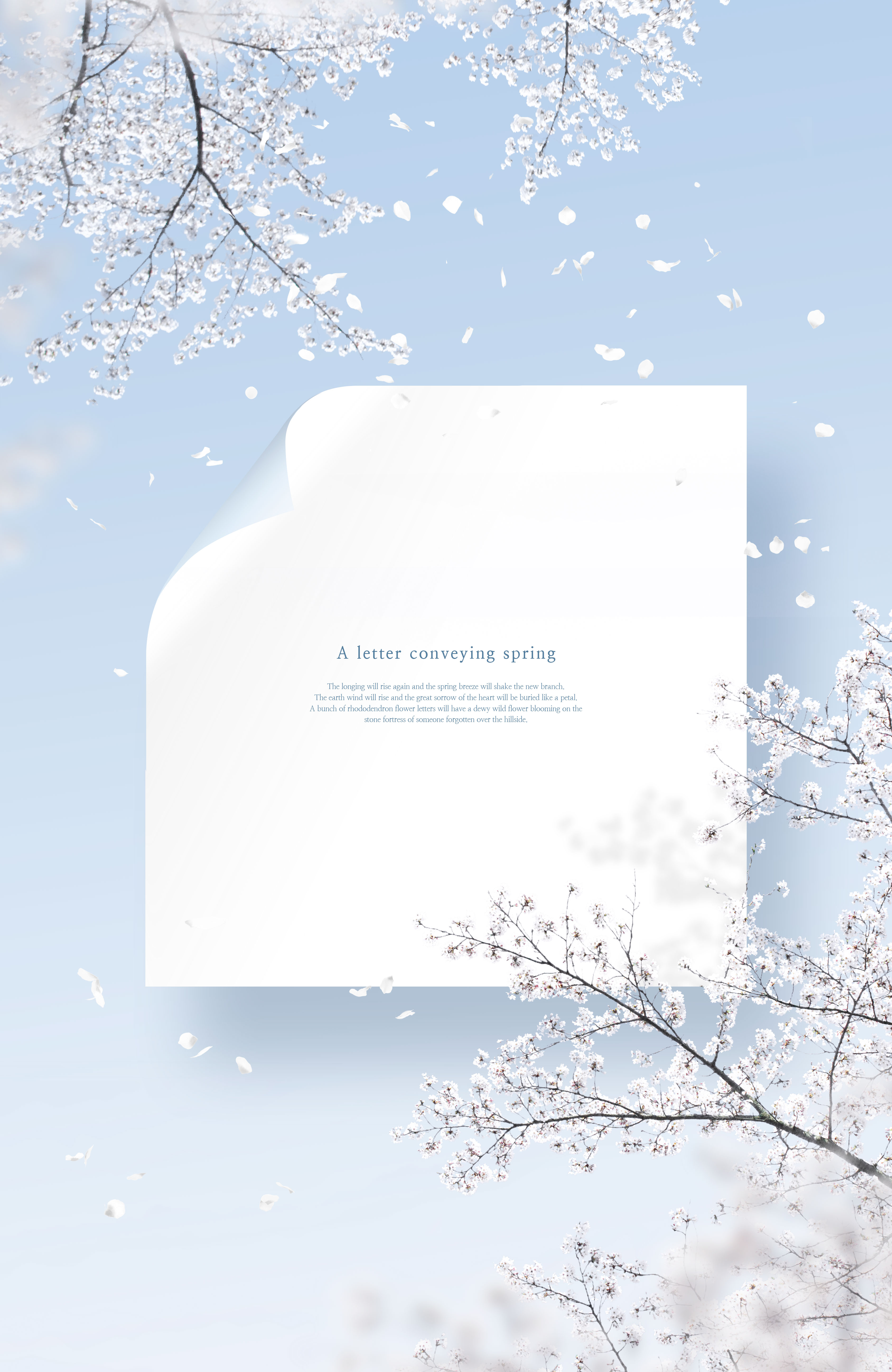 白色樱花-春天花卉主题海报/贺卡/信纸设计psd素材插图