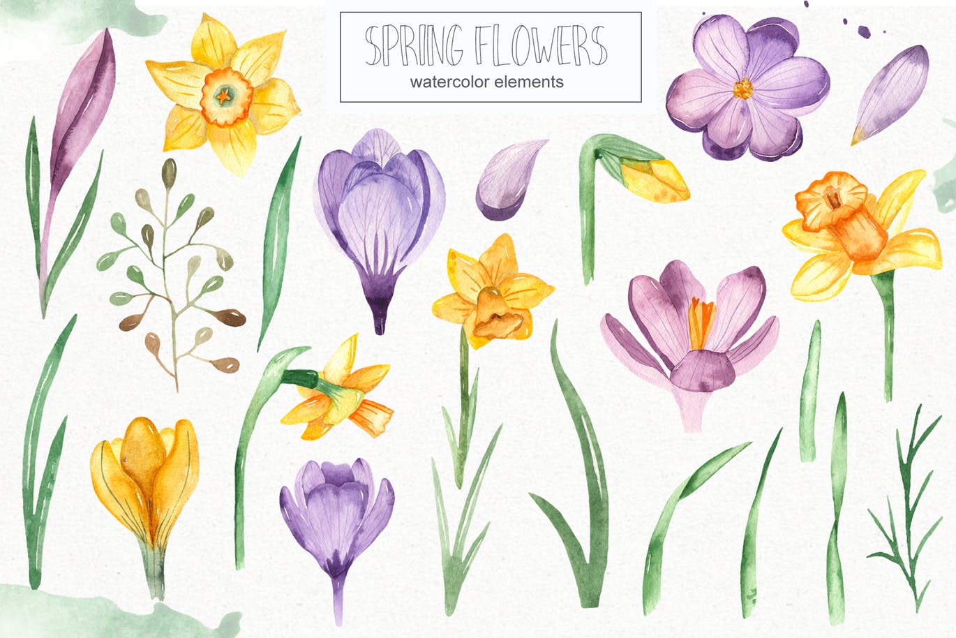 春季花卉水彩素材套装 Watercolor spring flowers collection插图(2)