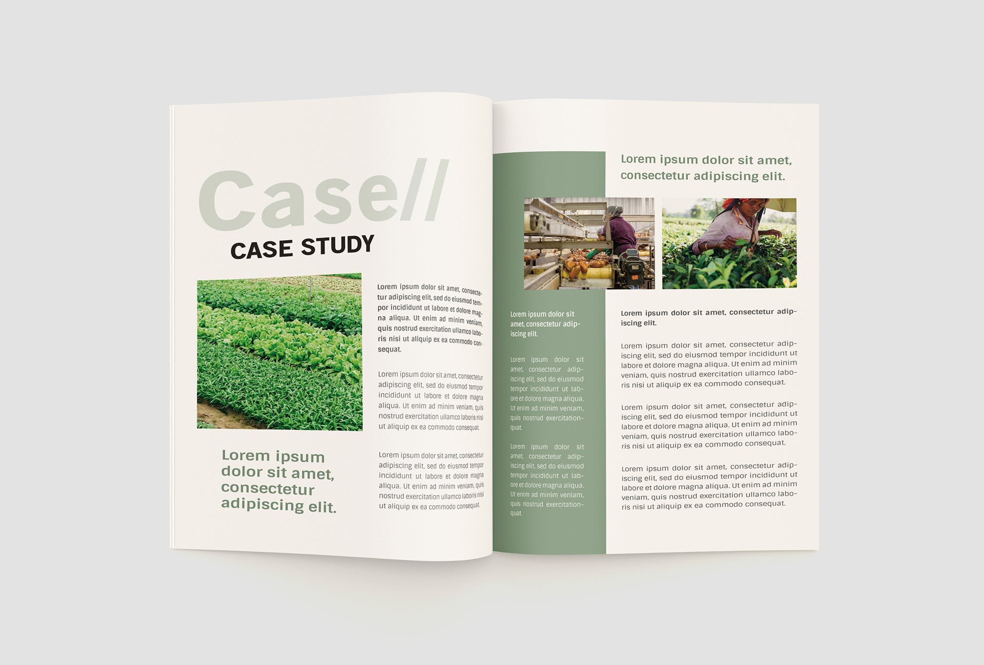 农业绿色食品公司简介企业画册设计模板 Agriculture Company Profile插图(10)