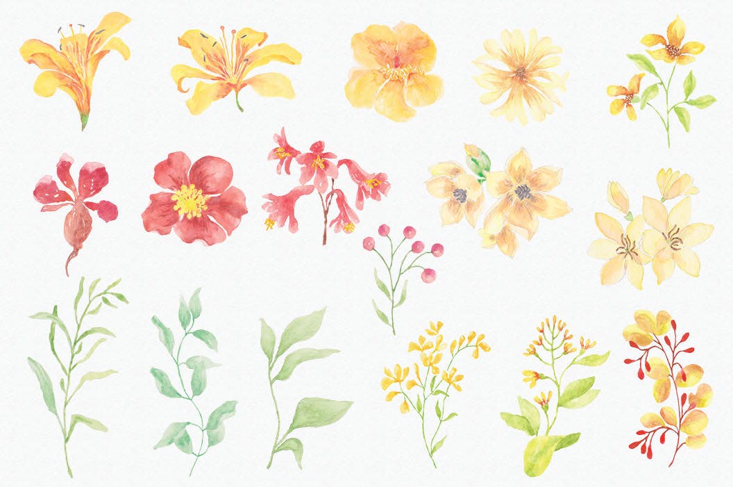 阳光明媚风格水彩花卉手绘图案剪贴画16设计网精选PNG素材 Sunny Flowers: Watercolor Clip Art Mini Bundle插图(5)