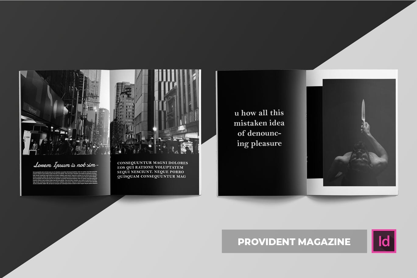 高端摄影主题A4素材库精选杂志版式设计INDD模板 Provident | Magazine Template插图(3)