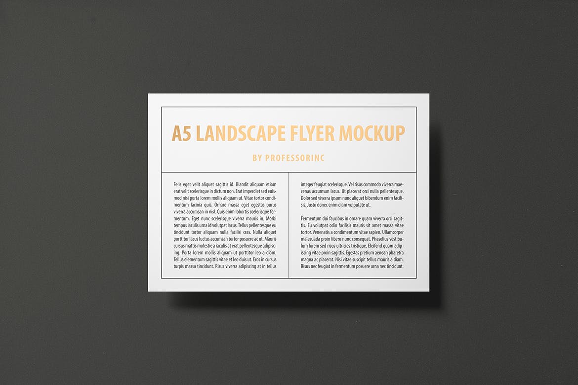 A5尺寸大小烫金设计风格宣传单效果图样机16图库精选模板 A5 Landscape Flyer Mockup — Foil Stamping Edition插图(2)
