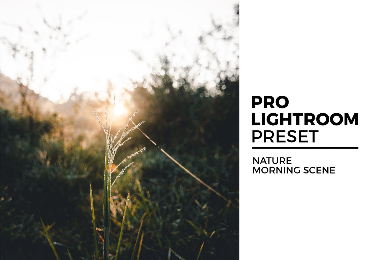 美好清晨摄影照片后期调色16设计素材网精选LR预设 Nature Morning Scene Preset插图