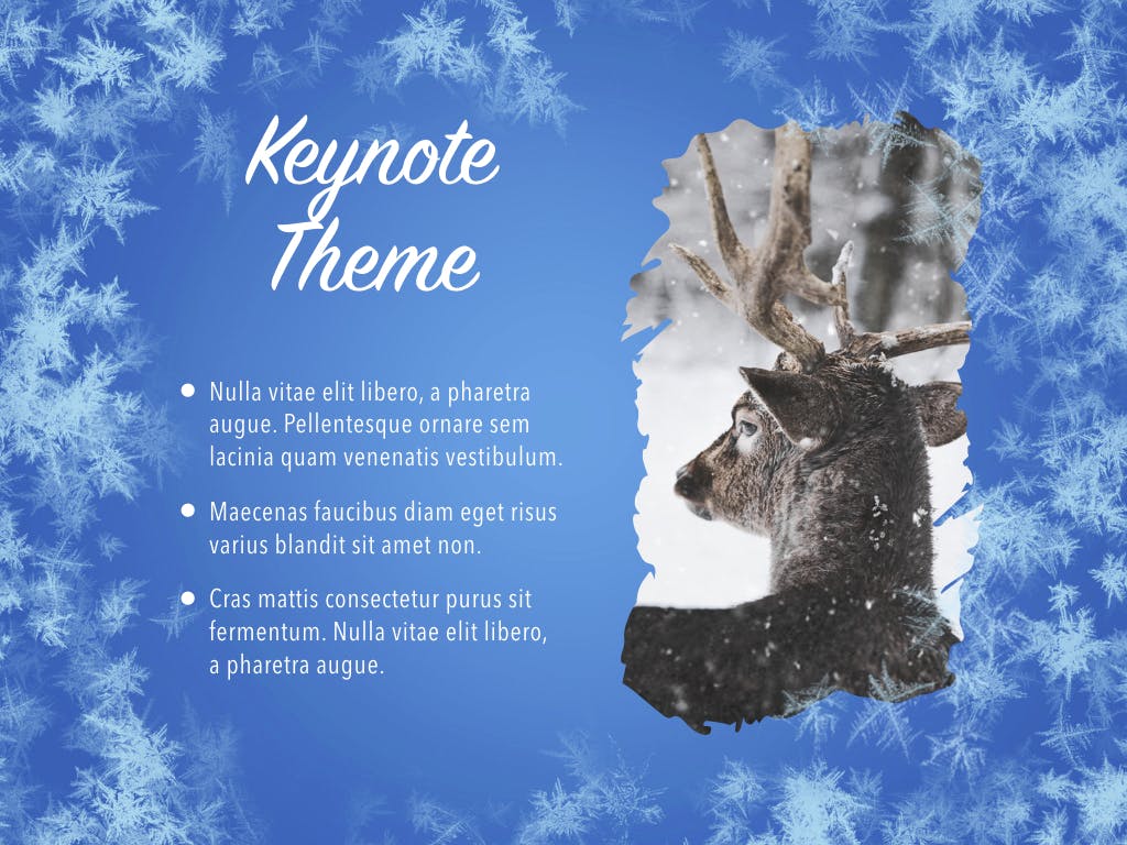 冬天雪花背景素材库精选Keynote模板下载 Hello Winter Keynote Template插图(8)