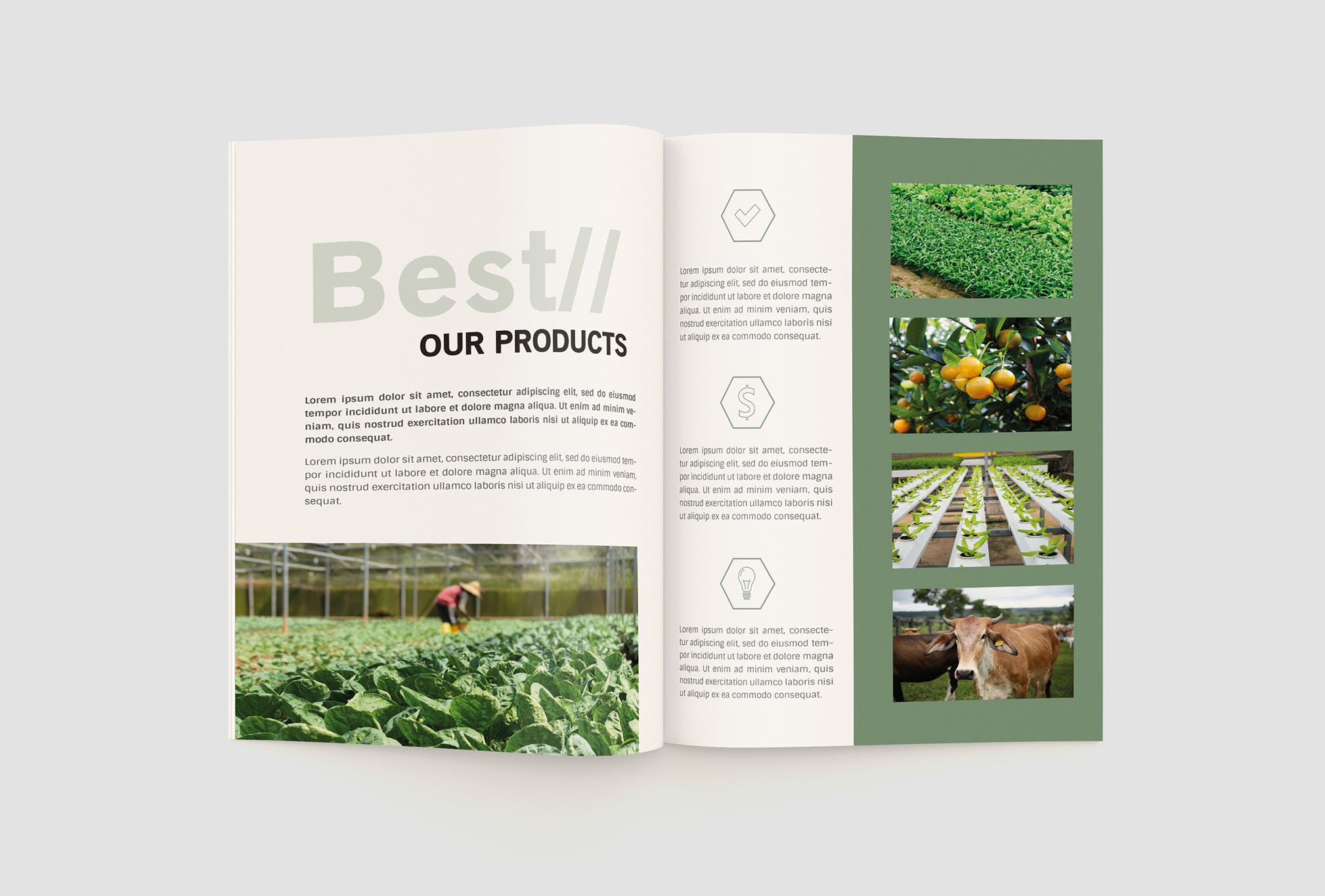 农业绿色食品公司简介企业画册设计模板 Agriculture Company Profile插图(9)