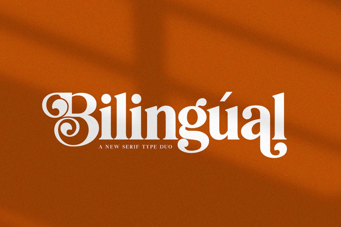 创意英文衬线字体素材库精选二重奏 Bilingual Serif Font Duo插图