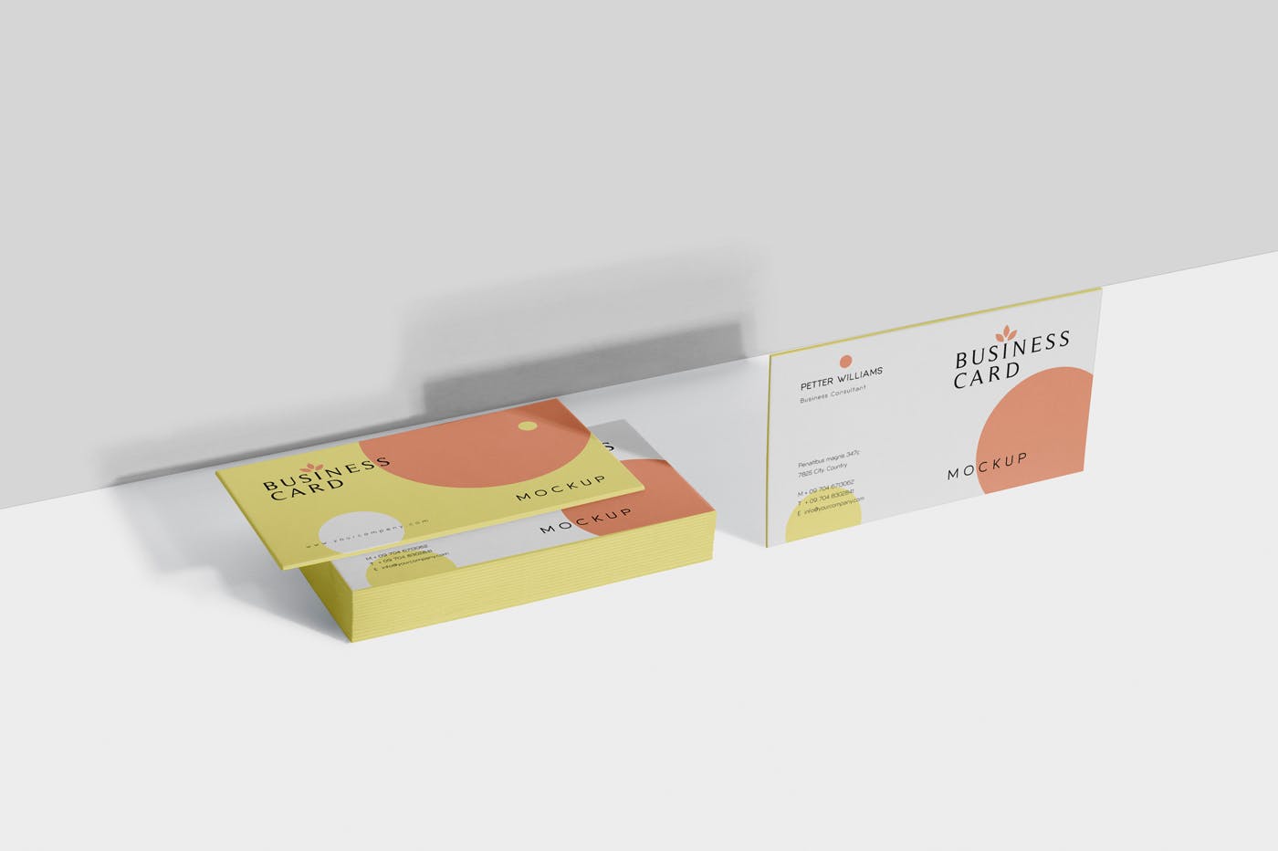 创意企业名片设计阴影效果图素材库精选 Business Card Mock-Ups插图(4)