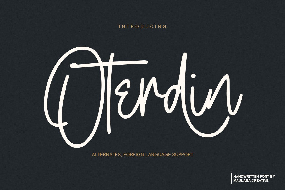 钢笔签名风格英文手写字体16设计素材网精选 Oterdin – Handwritten Font插图