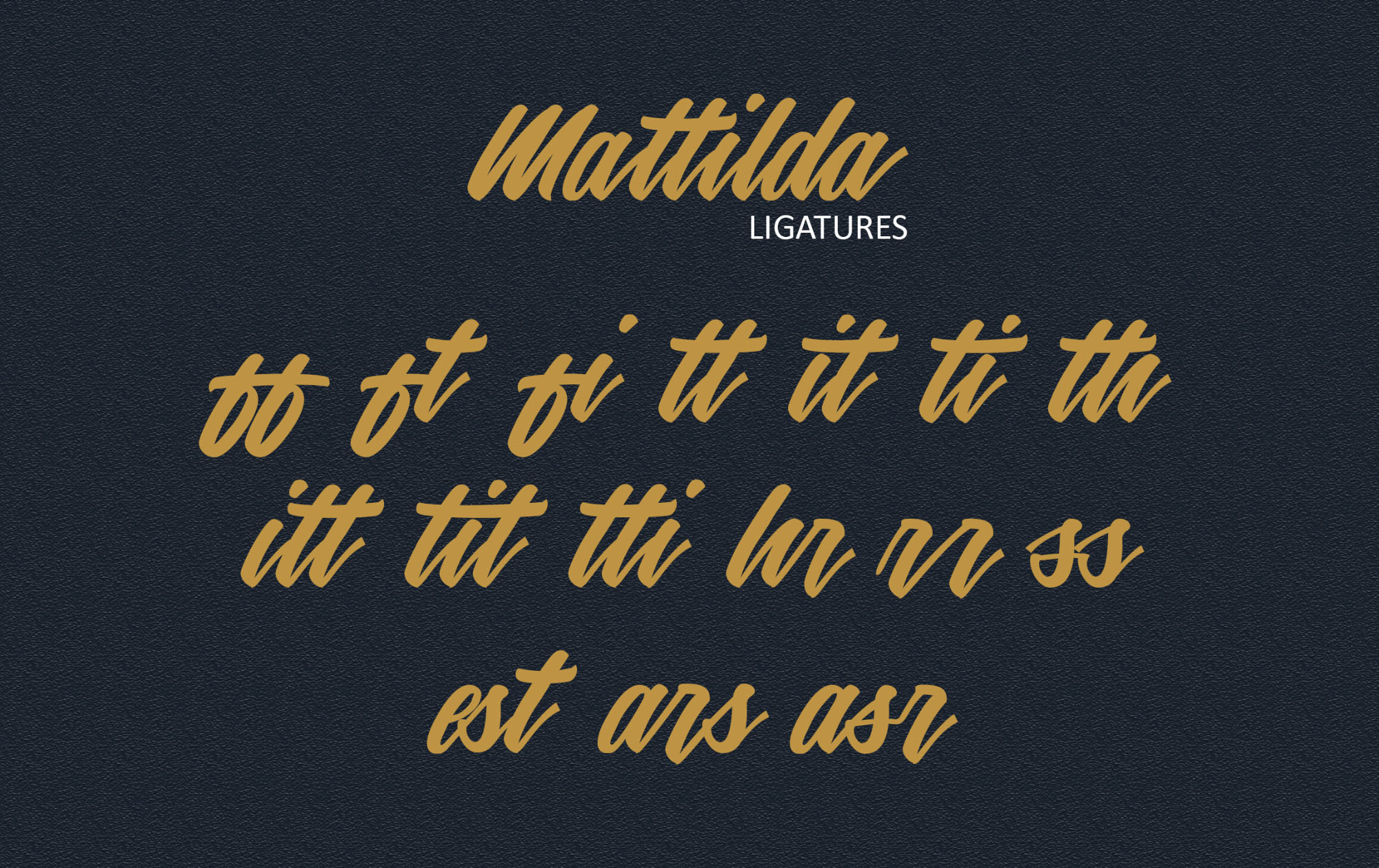 英文画笔连笔艺术字体16设计素材网精选 Mattilda Script Font插图(3)