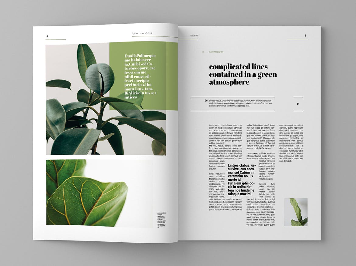 企业业务介绍素材库精选杂志排版设计模板 Agrica – Magazine Template插图(3)