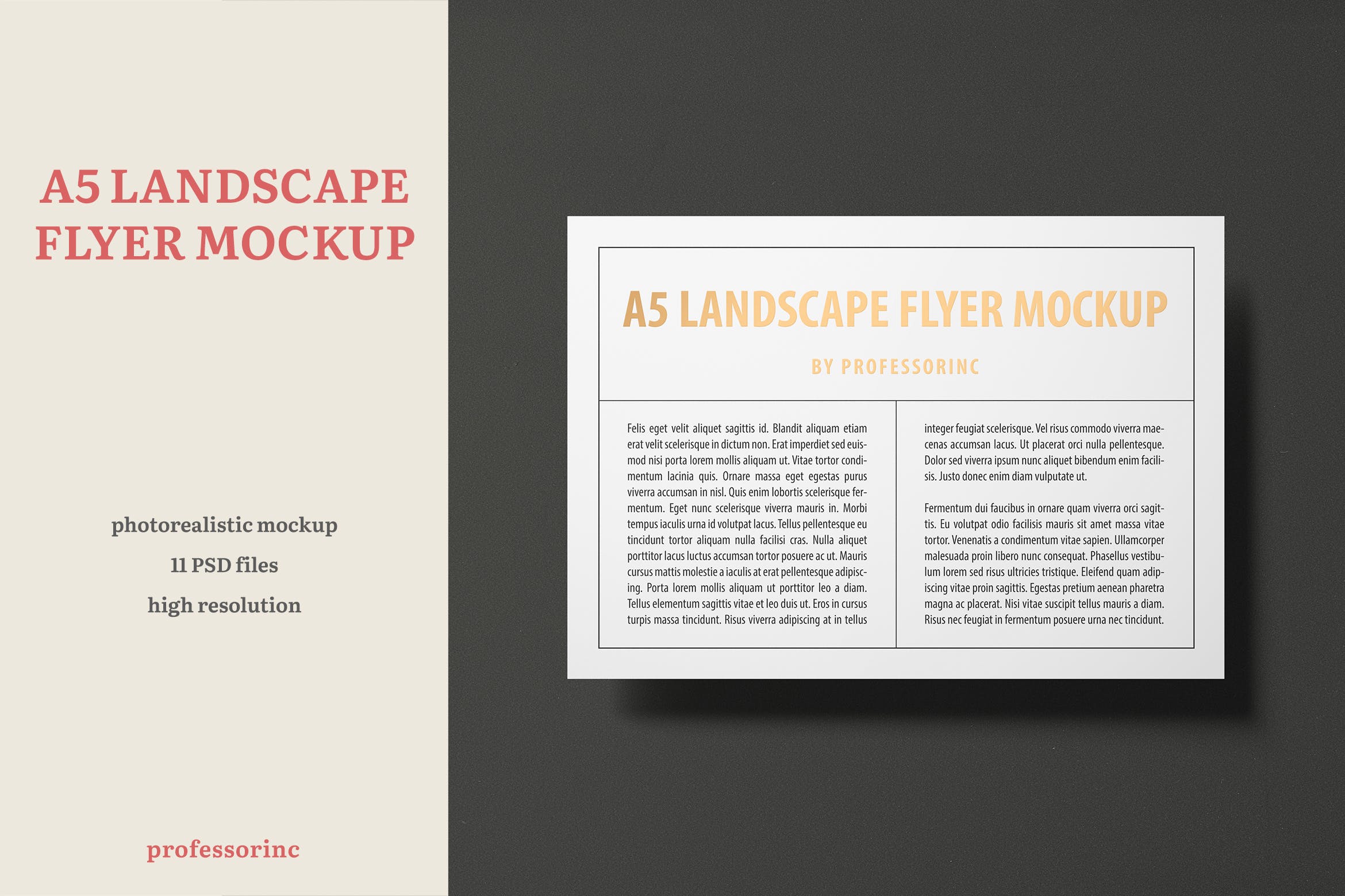 A5尺寸大小烫金设计风格宣传单效果图样机普贤居精选模板 A5 Landscape Flyer Mockup — Foil Stamping Edition插图