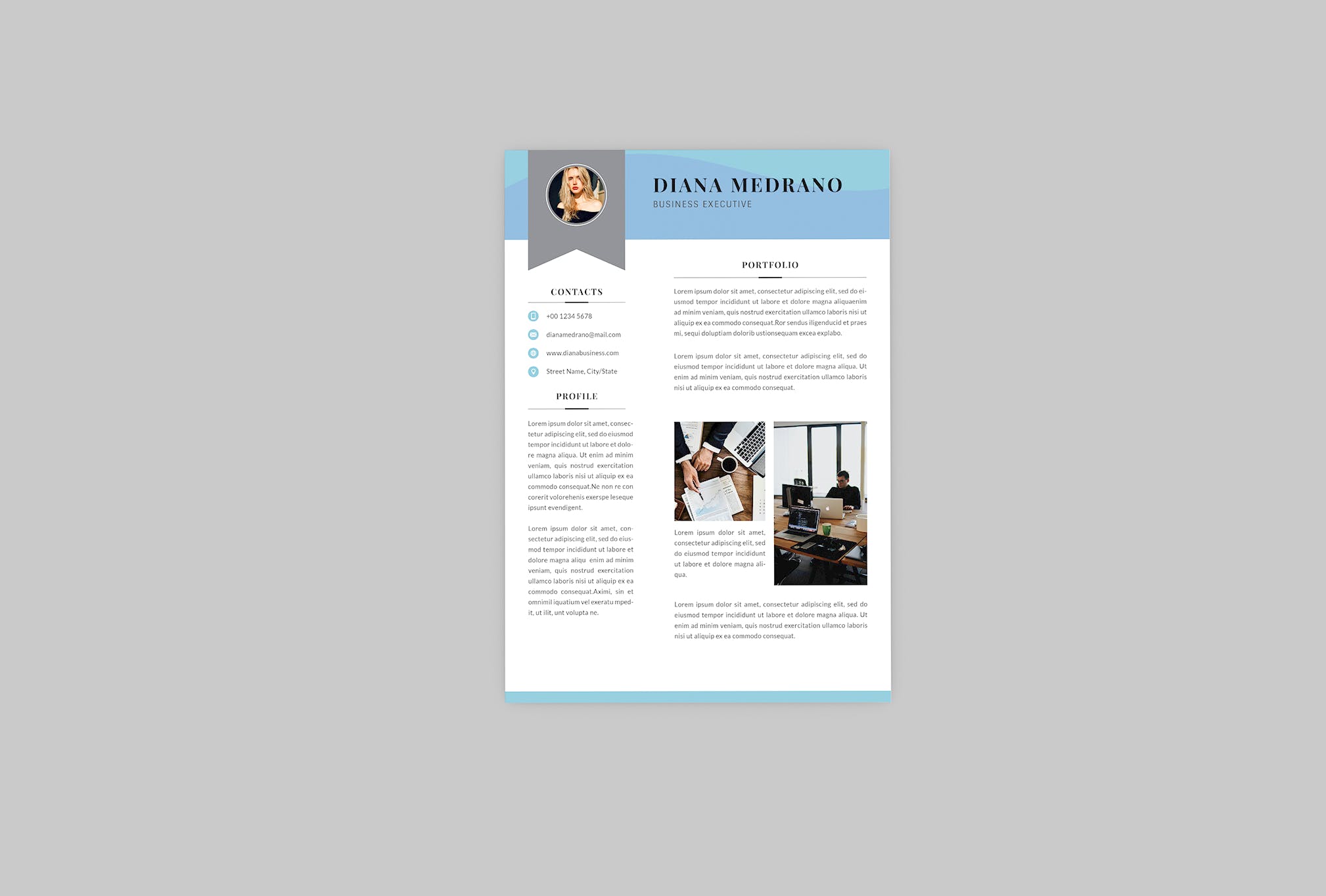 3合1企业主管电子素材库精选简历模板 Diana Business Resume Designer插图(3)