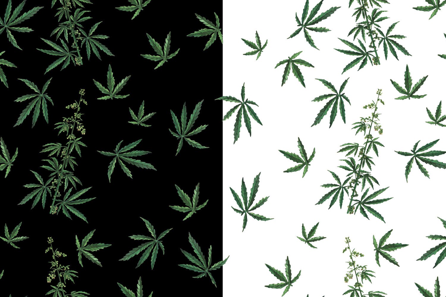 大麻叶子高清图案背景素材天下精选 Cannabis Patterns插图(2)