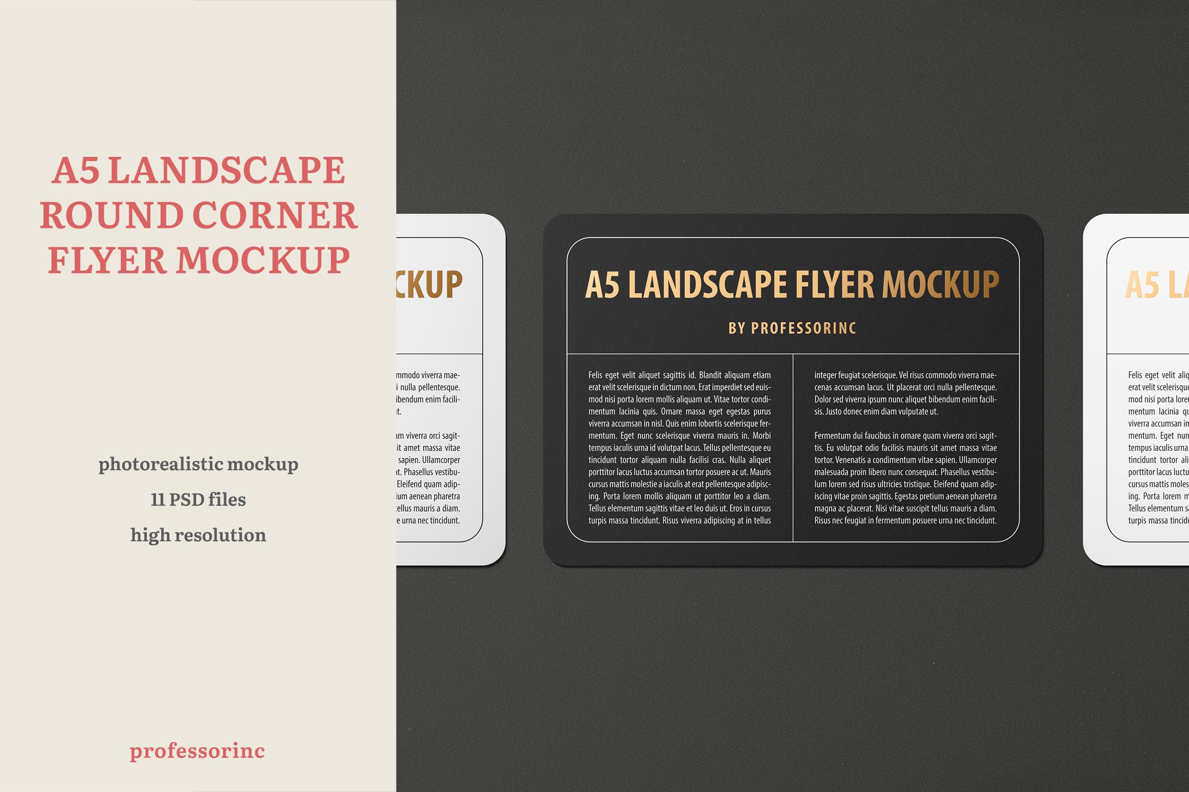 A5尺寸规格圆角宣传单印刷效果图样机素材库精选 A5 Landscape Round Corner Flyer Mockup插图