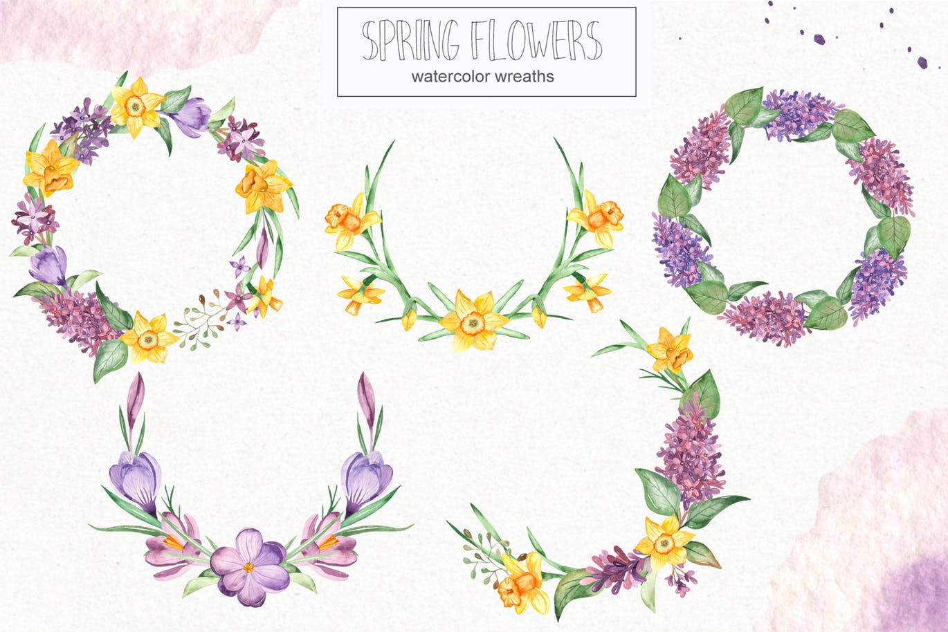春季花卉水彩素材套装 Watercolor spring flowers collection插图(4)