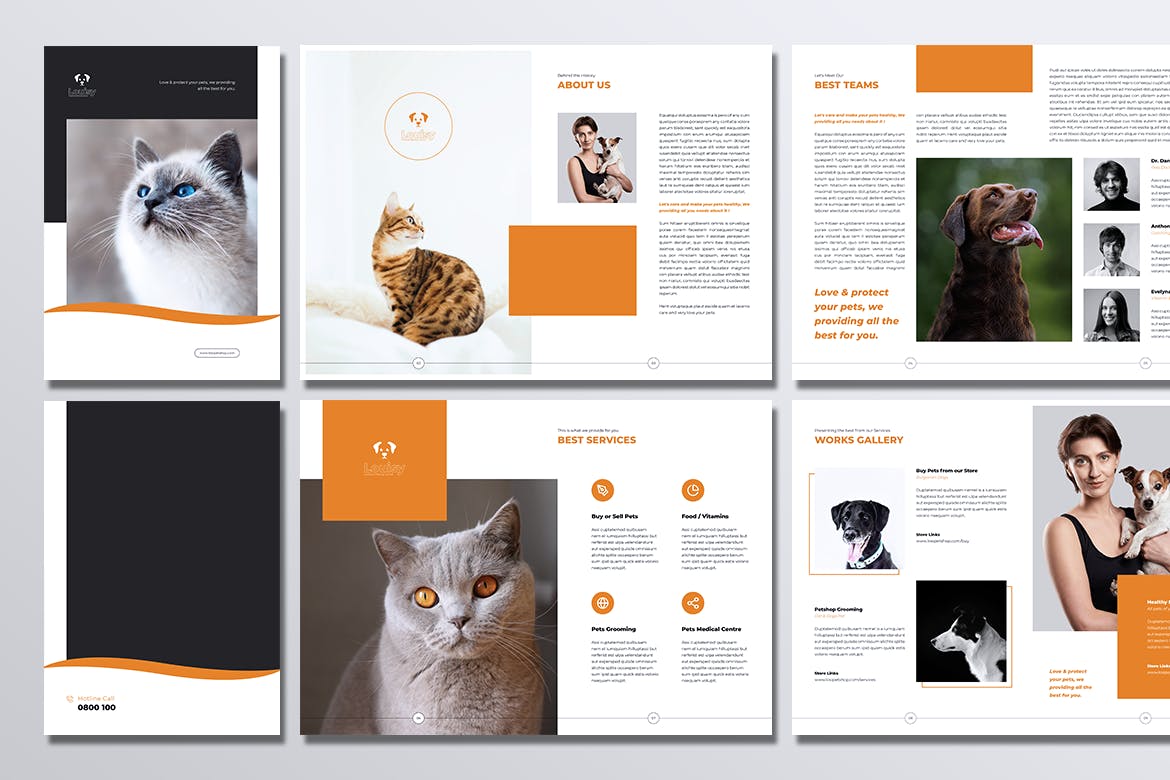 宠物店业务宣传手册设计模板 LOSI Pet Shop Business Brochure插图(5)