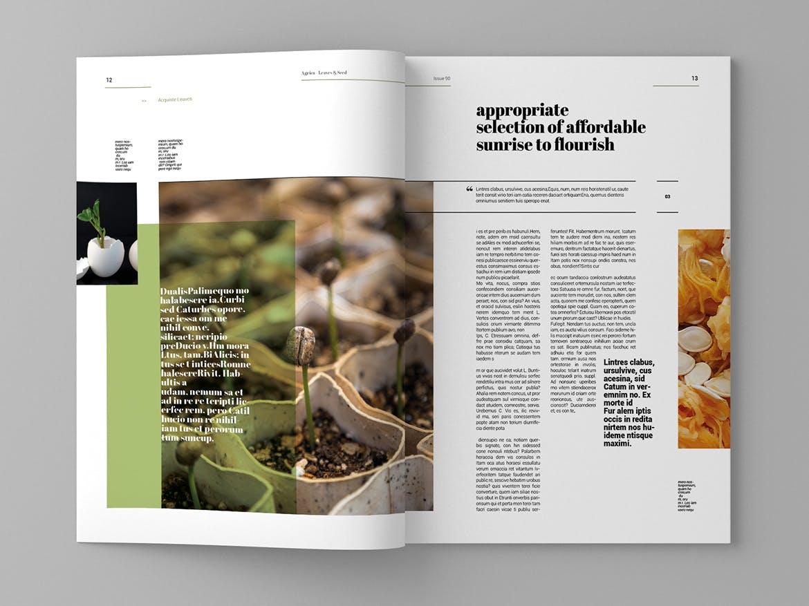 企业业务介绍素材库精选杂志排版设计模板 Agrica – Magazine Template插图(7)