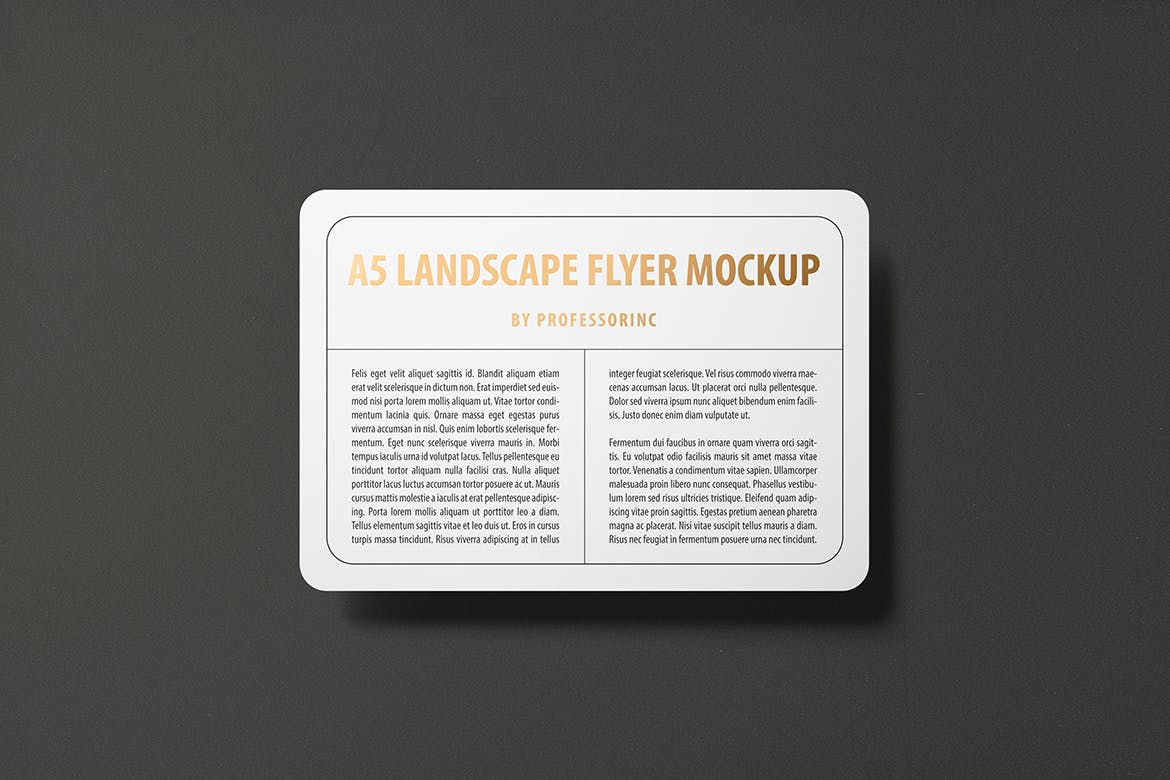 A5尺寸规格圆角宣传单印刷效果图样机素材库精选 A5 Landscape Round Corner Flyer Mockup插图(2)