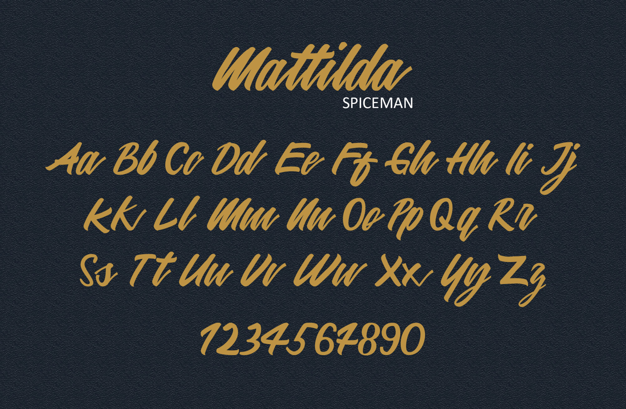 英文画笔连笔艺术字体素材库精选 Mattilda Script Font插图(2)