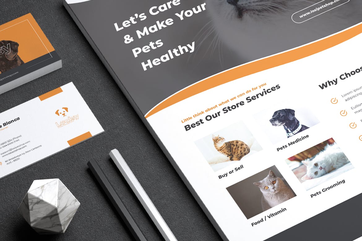 宠物店业务传单&普贤居精选名片模板 LOSI Pet Shop Business Flyer & Business Card插图(5)
