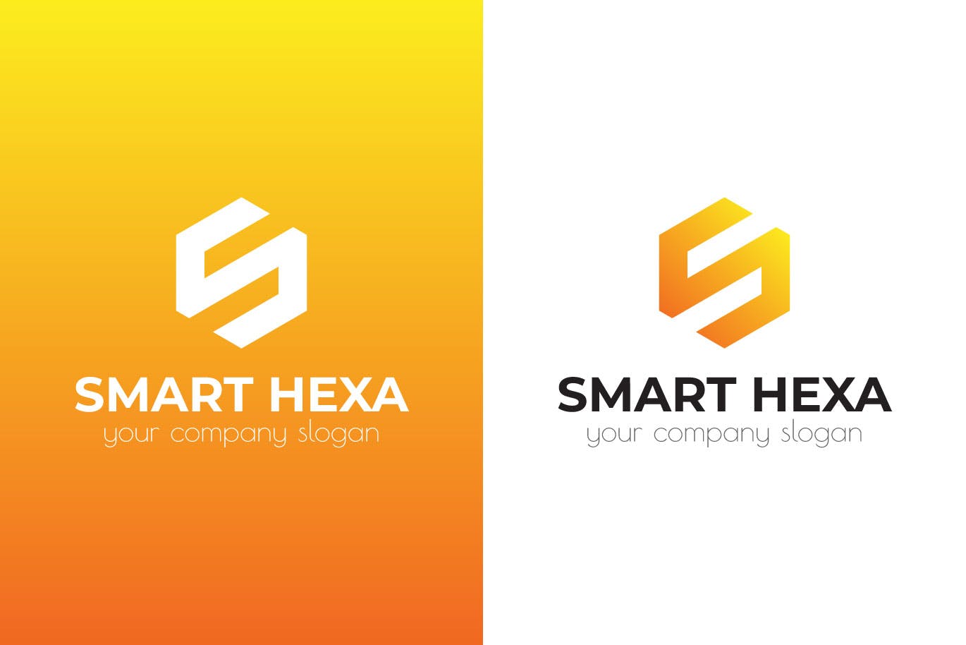 S字母图形Logo设计素材库精选模板 Smart Hexa Awesome Logo Template插图(1)