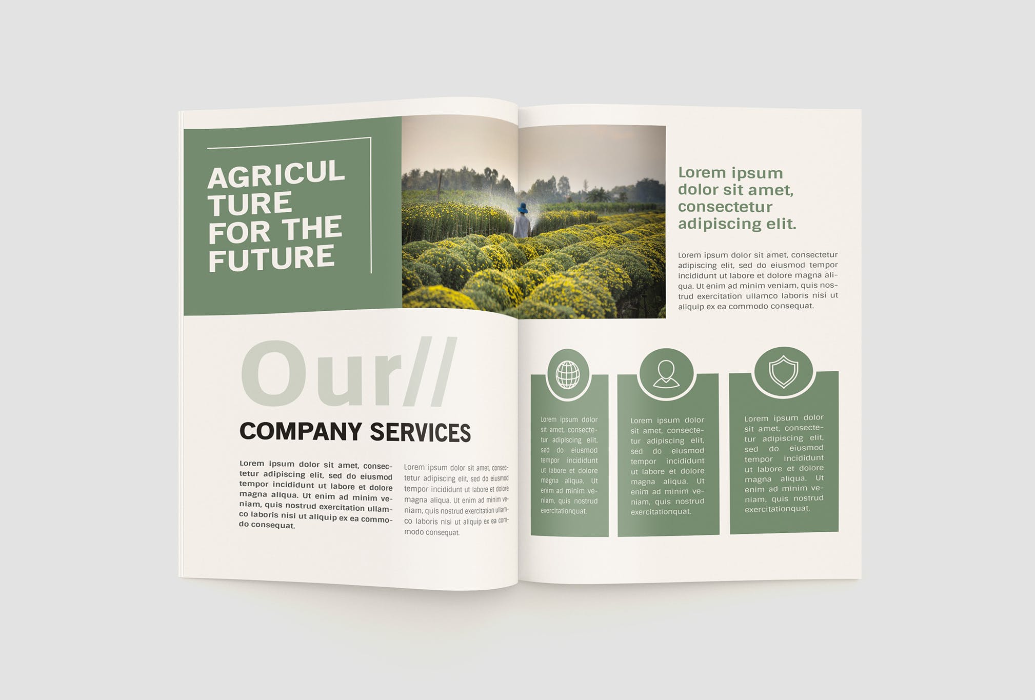 农业绿色食品公司简介企业画册设计模板 Agriculture Company Profile插图(8)
