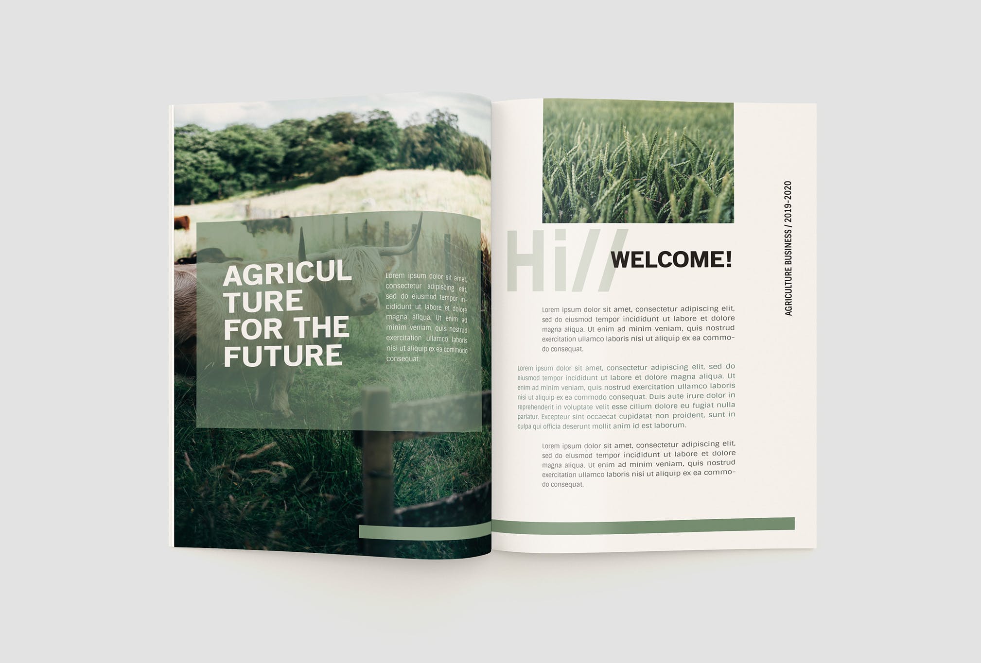 农业绿色食品公司简介企业画册设计模板 Agriculture Company Profile插图(4)
