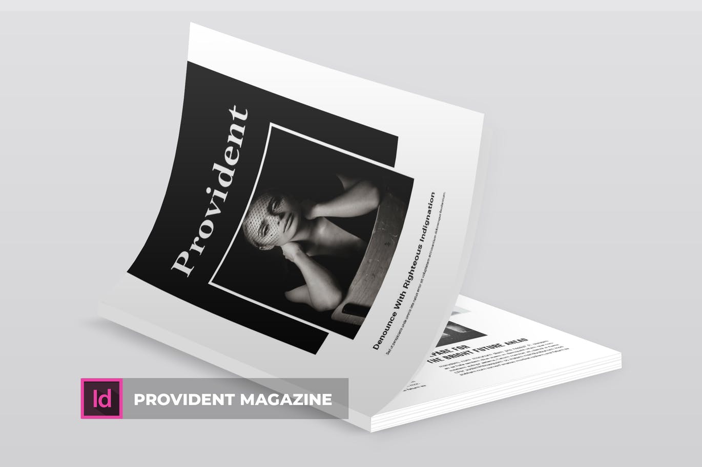 高端摄影主题A4非凡图库精选杂志版式设计INDD模板 Provident | Magazine Template插图