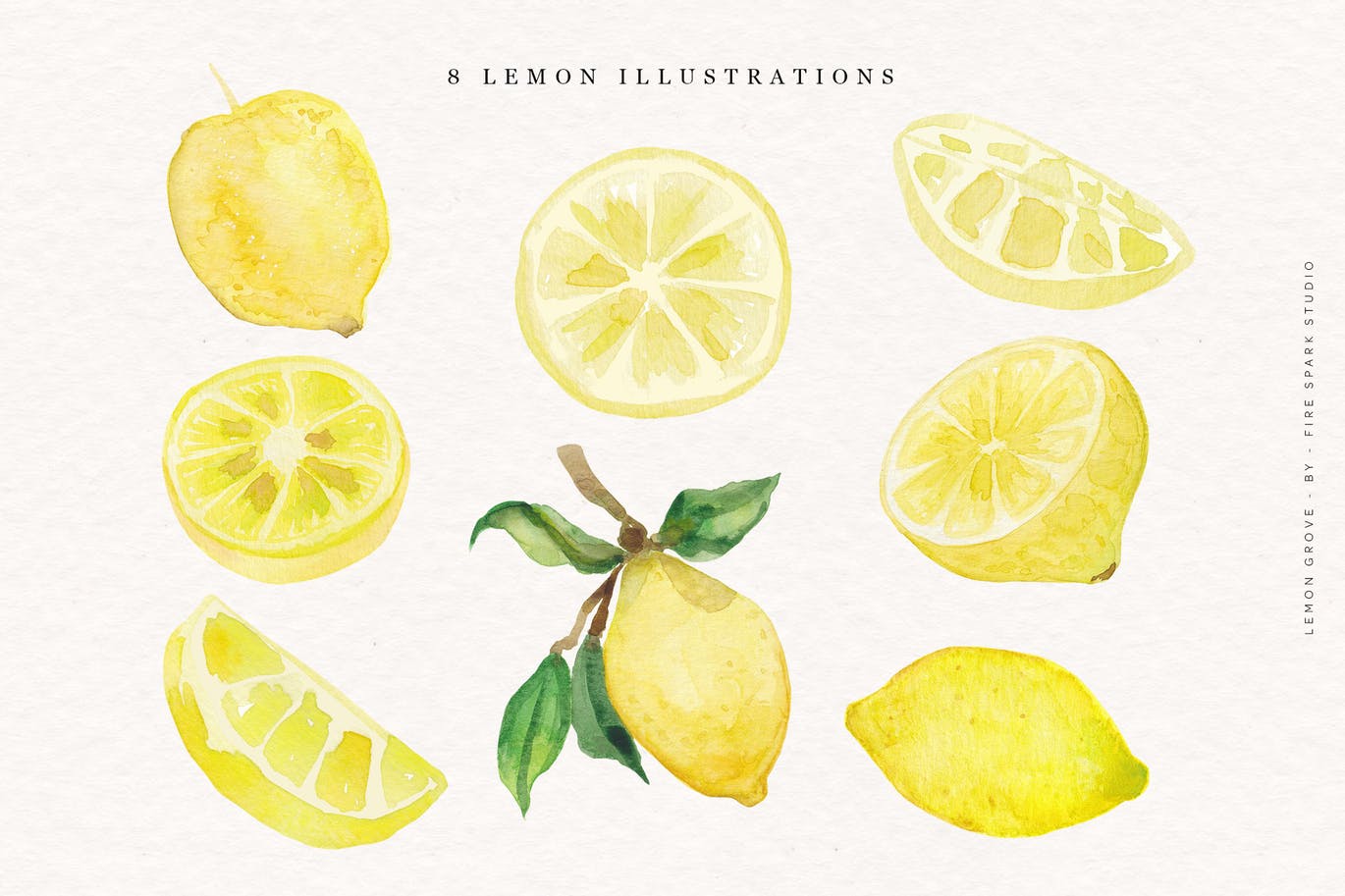 柠檬树水彩手绘矢量插画非凡图库精选素材 Lemon Grove Watercolor Illustrations插图(2)