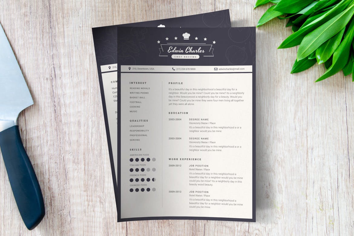 西餐厨师个人16设计网精选简历模板 Chef CV Template插图(1)