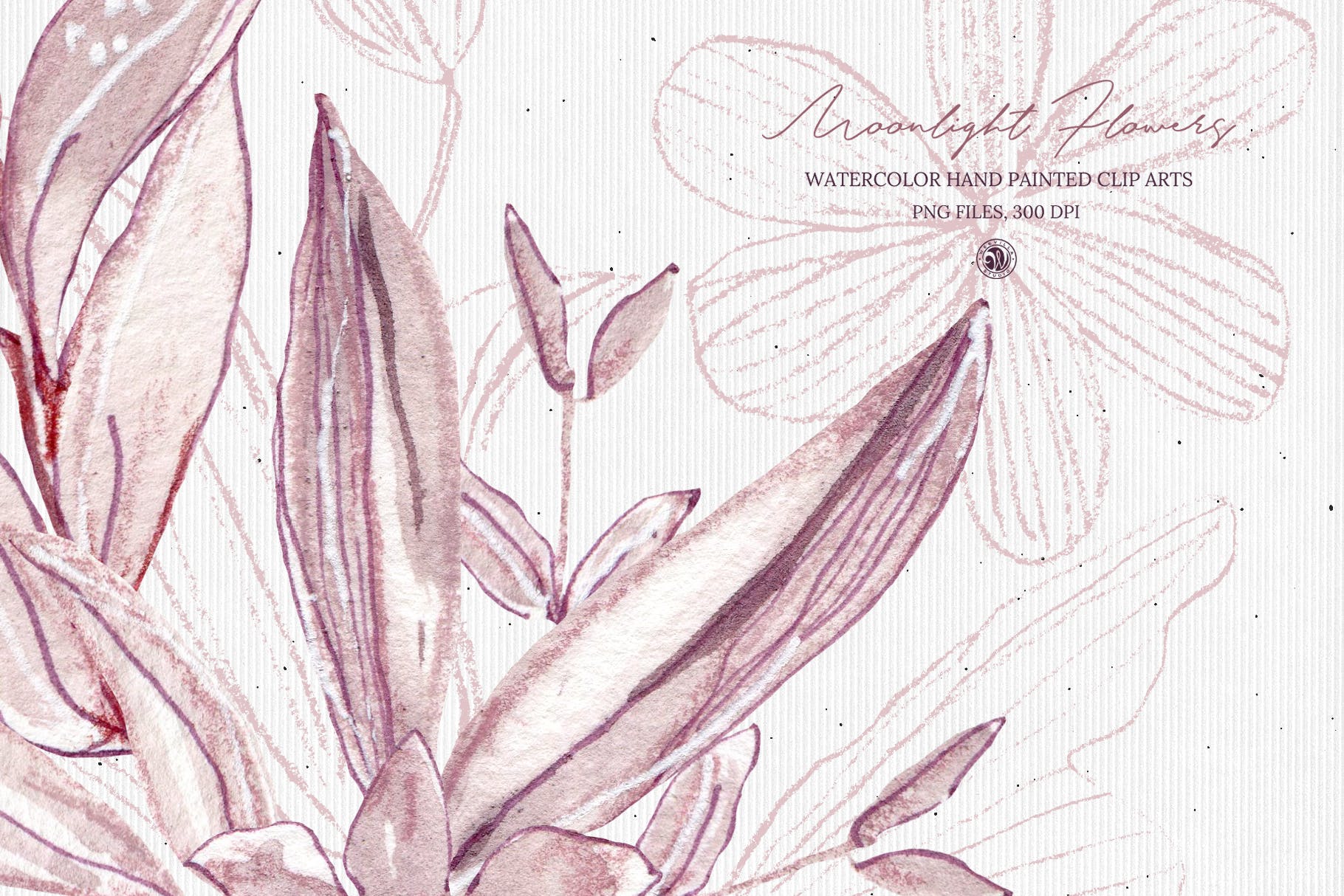 月光花花语水彩手绘剪贴画16设计网精选PNG素材 Moonlight Flowers插图(5)