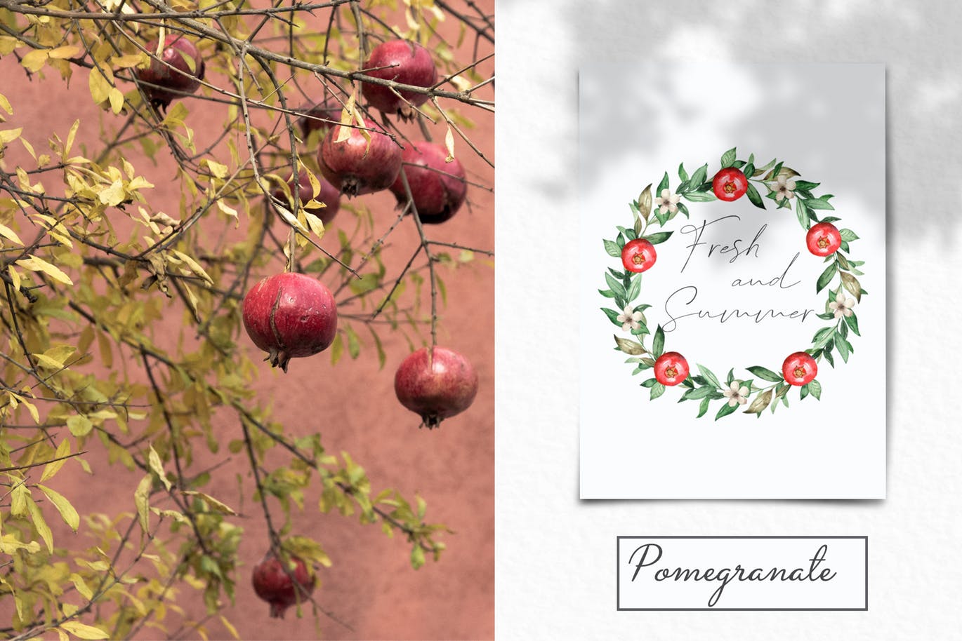 水彩石榴剪贴画/花框/花环16设计网精选设计素材 Watercolor pomegranate. Clipart, frames, wreaths插图(10)