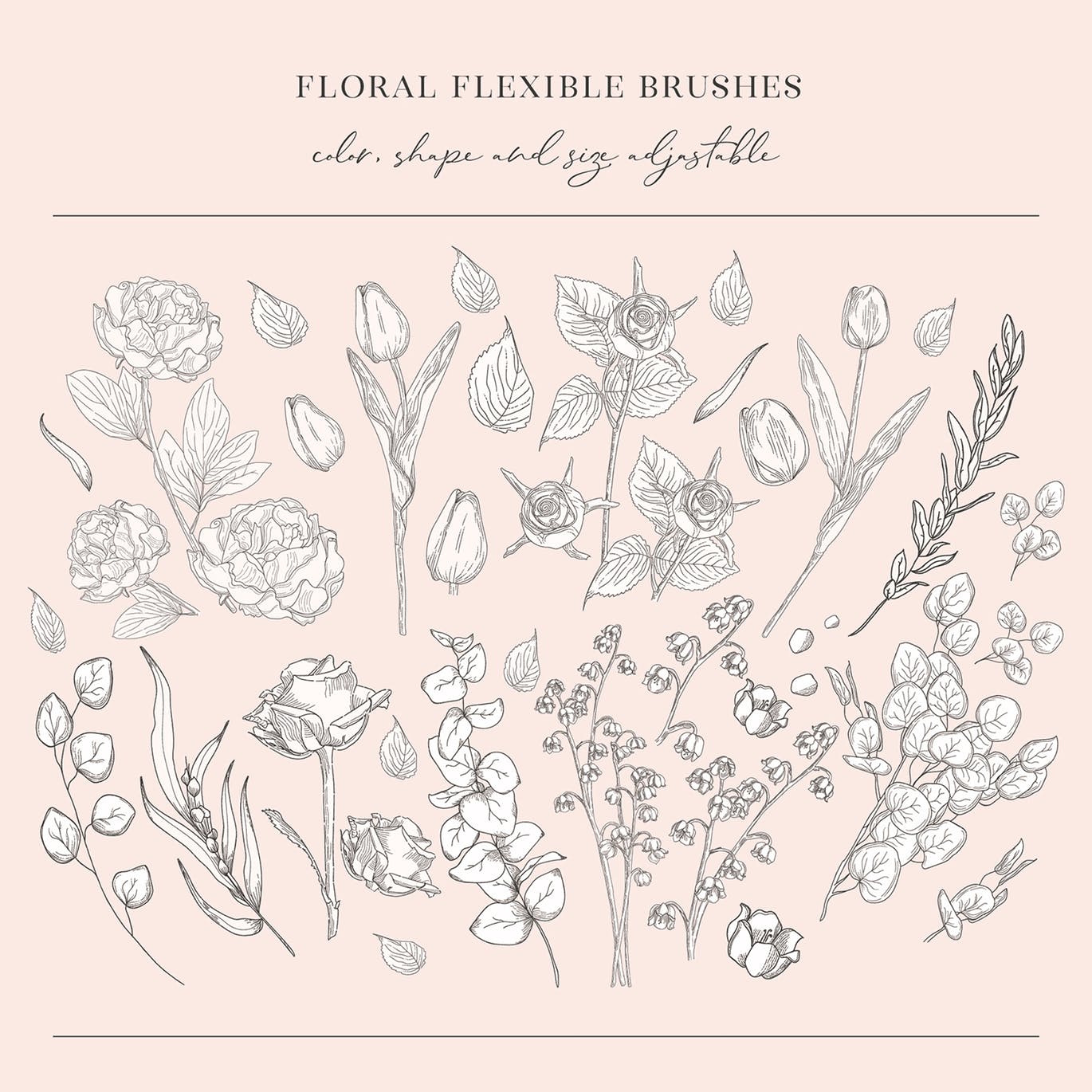 AI插画设计师必备花卉柔性笔刷素材库精选 Floral Flexible Illustrator Brushes插图(1)