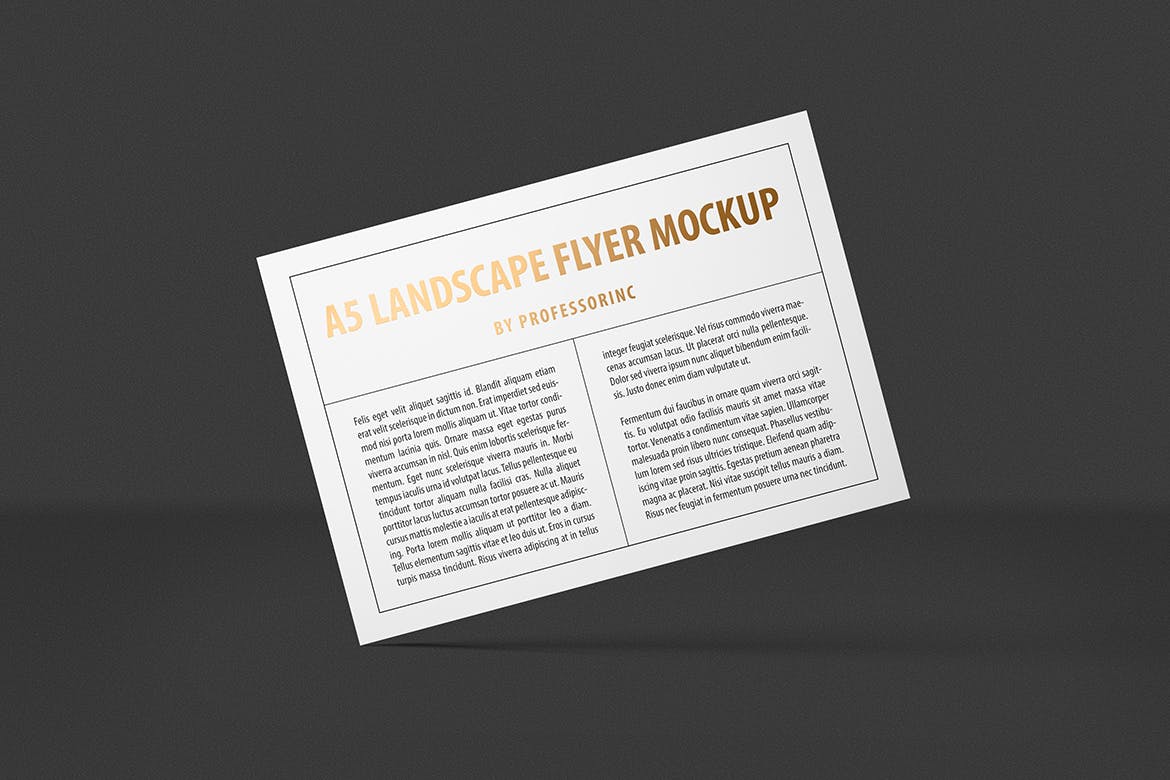 A5尺寸大小烫金设计风格宣传单效果图样机普贤居精选模板 A5 Landscape Flyer Mockup — Foil Stamping Edition插图(7)