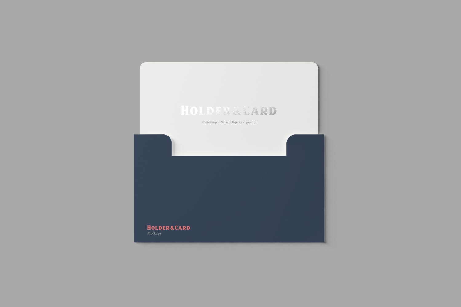 卡片&卡套设计效果图16设计网精选 Holder and Card Mockups插图(4)