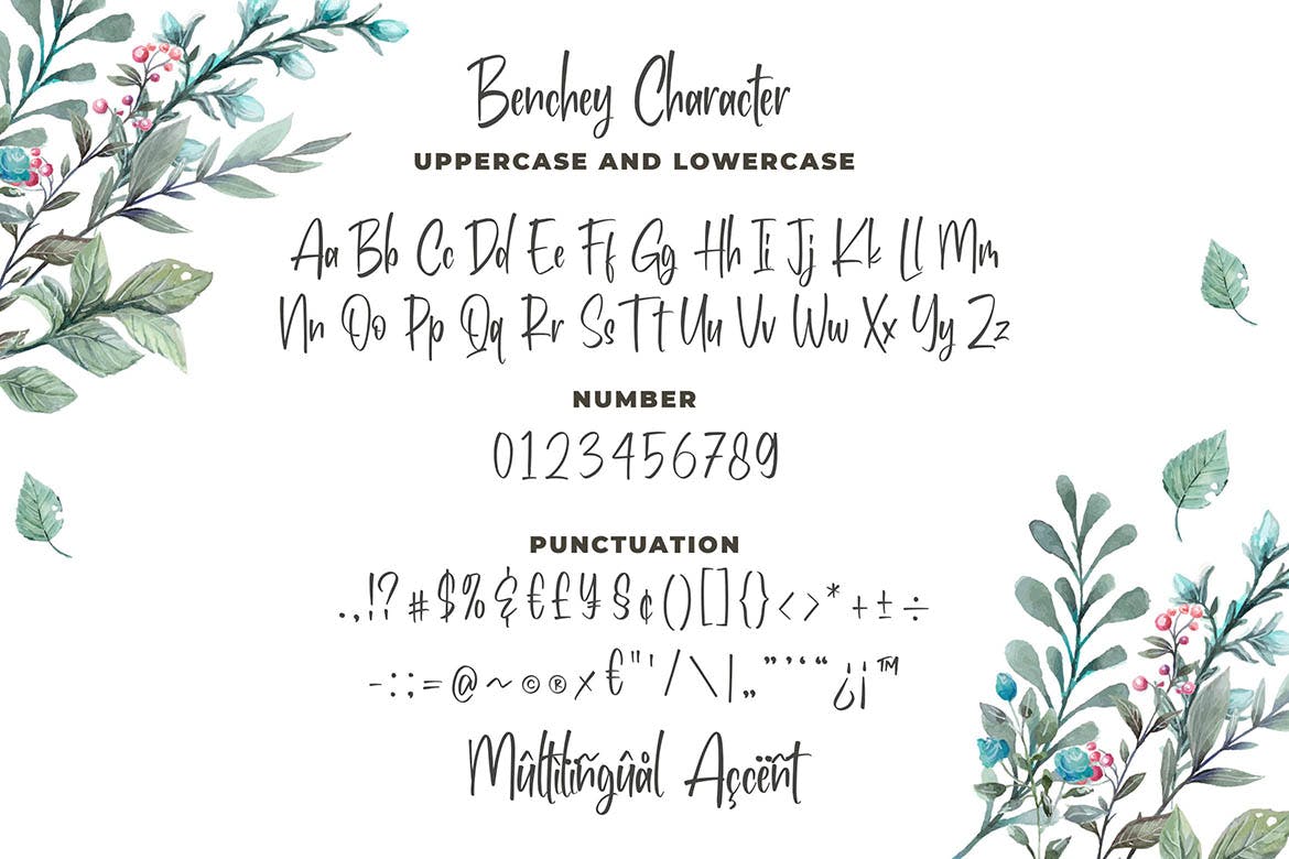 现代书法风格英文手写字体素材库精选 Benchey – Handwritten Font插图(3)
