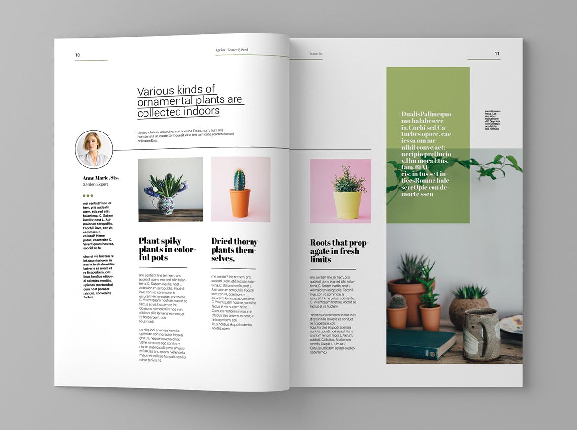 企业业务介绍素材库精选杂志排版设计模板 Agrica – Magazine Template插图(6)