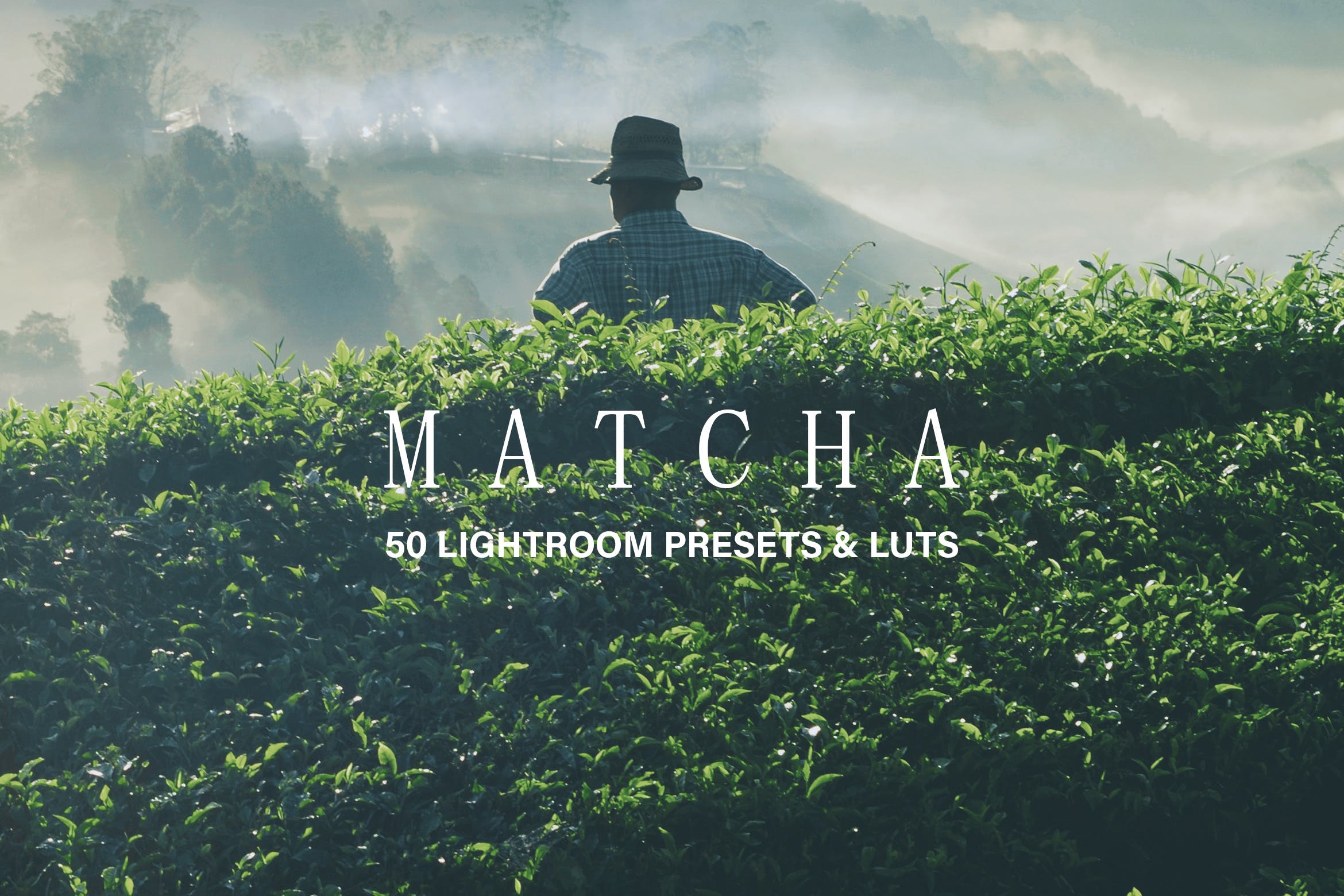 50款绿色背景摄影后期调色处理亿图网易图库精选LR预设 50 Matcha Lightroom Presets and LUTs插图