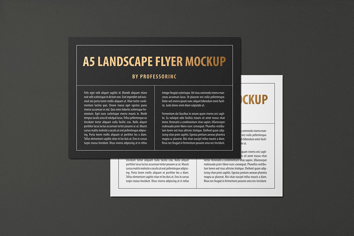 A5尺寸大小烫金设计风格宣传单效果图样机普贤居精选模板 A5 Landscape Flyer Mockup — Foil Stamping Edition插图(3)
