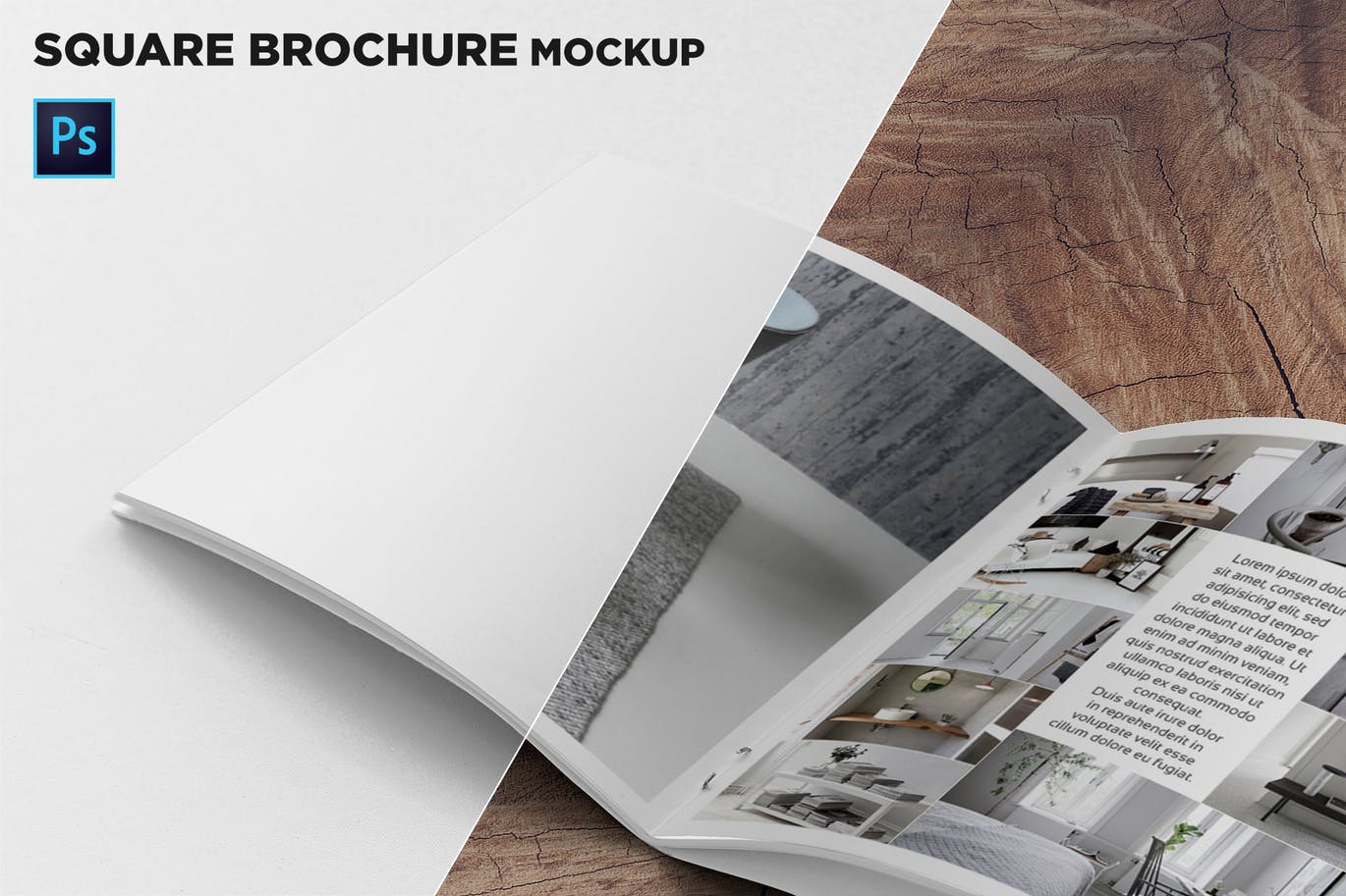 方形画册产品手册左页特写效果图样机16设计网精选 Square Brochure Mockup Closeup on Left Page插图