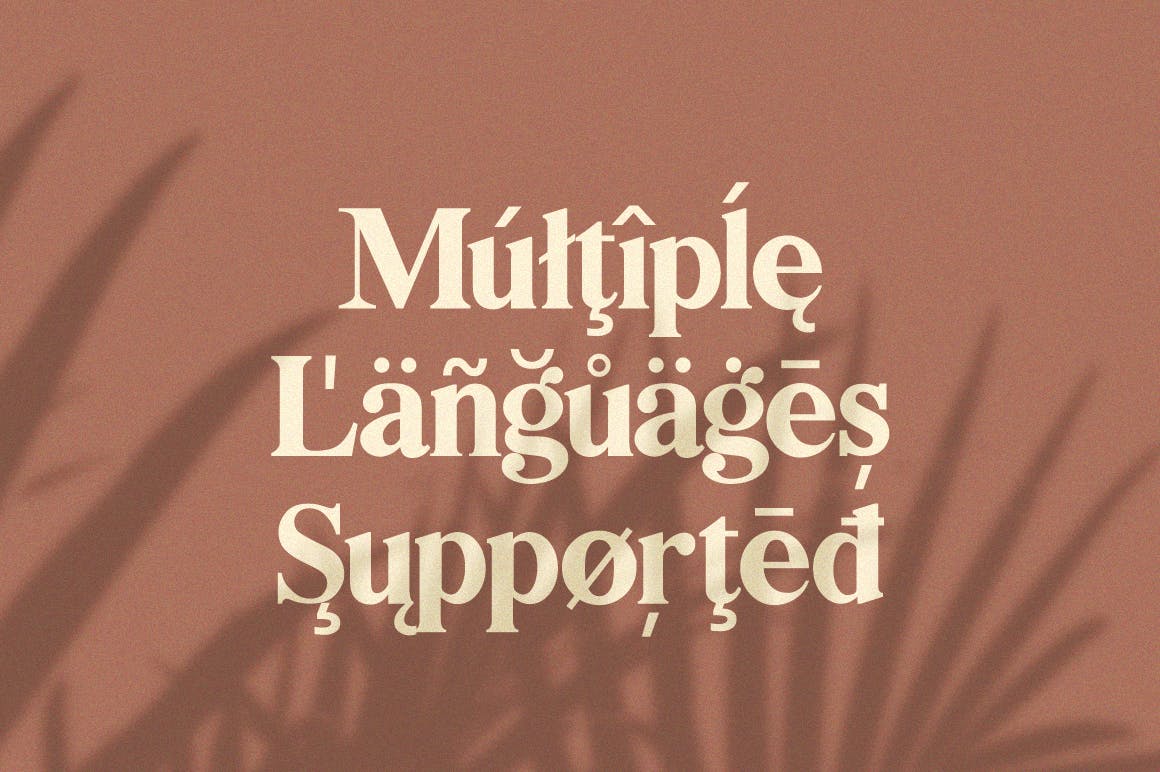 创意英文衬线字体素材库精选二重奏 Bilingual Serif Font Duo插图(10)