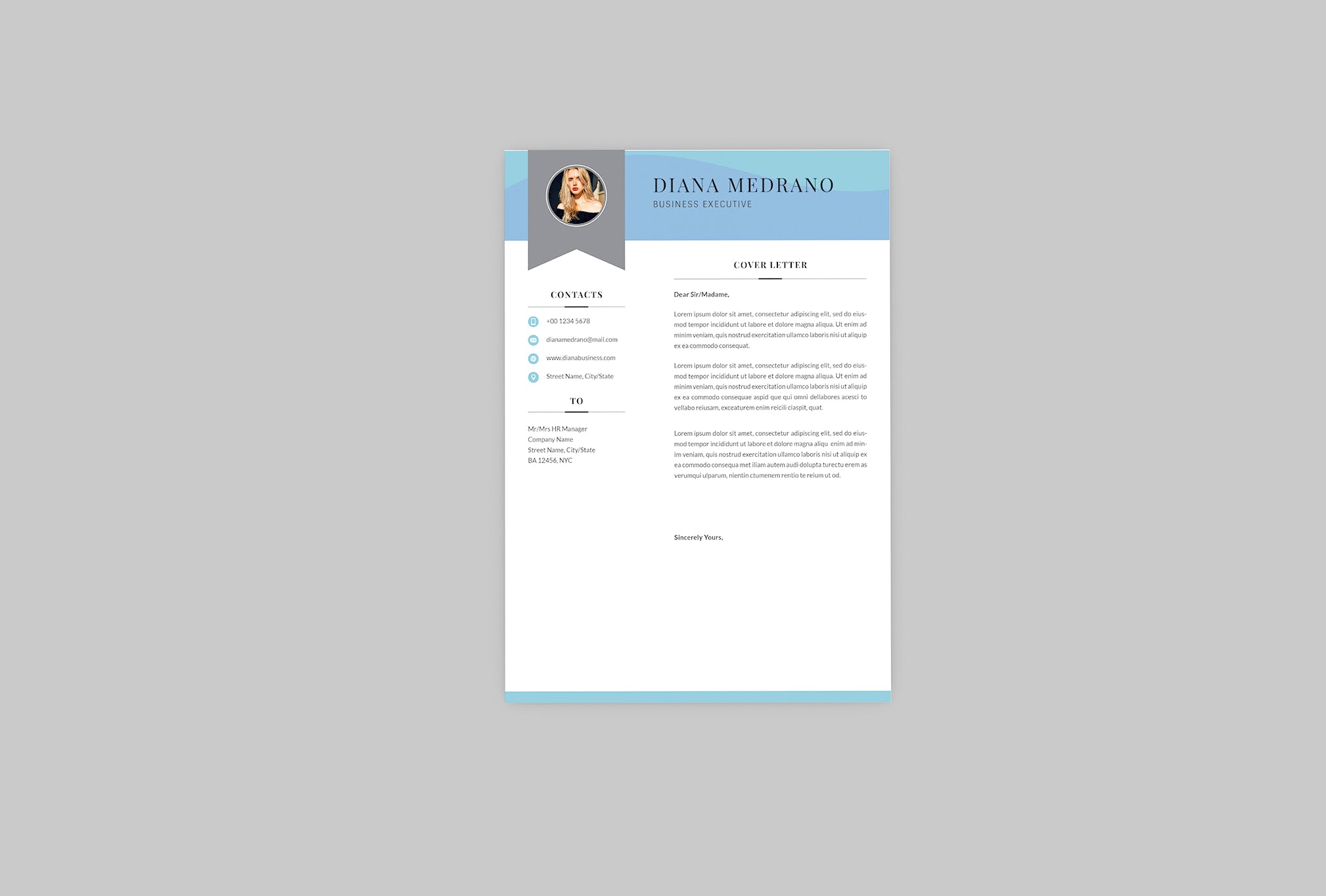 3合1企业主管电子非凡图库精选简历模板 Diana Business Resume Designer插图(1)
