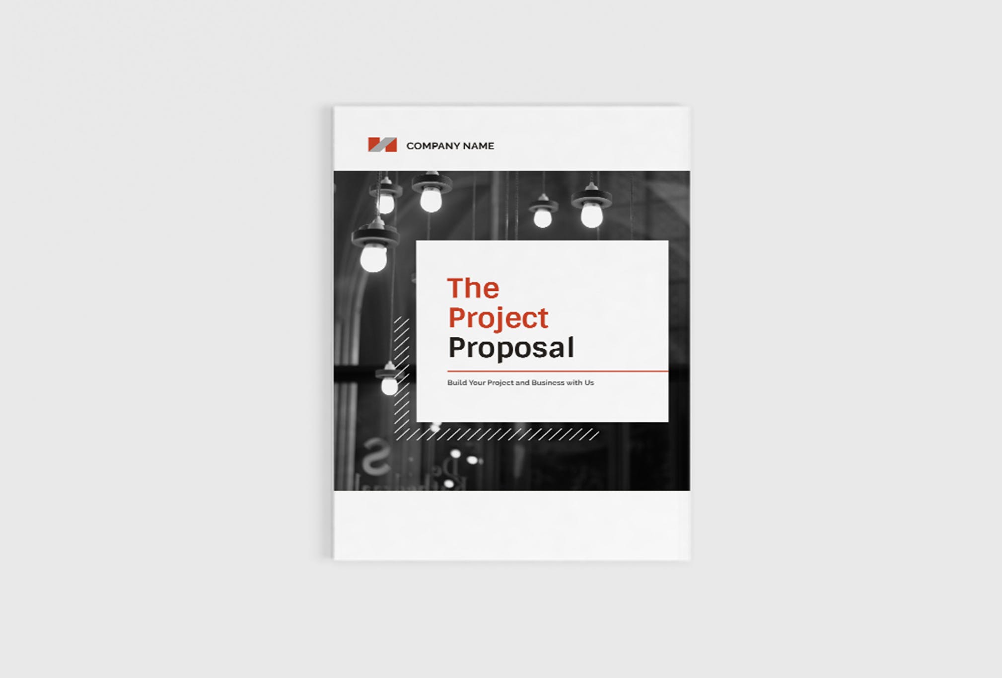 项目商业计划书/项目提案设计模板 The Project Company Profile插图(1)